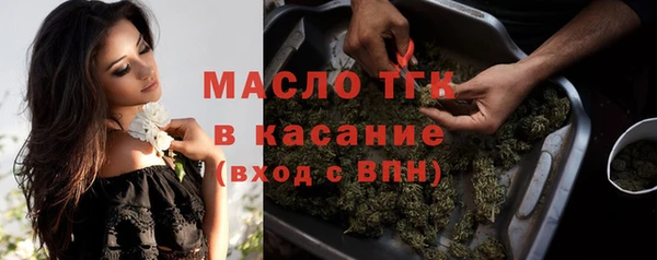 гидра Гатчина