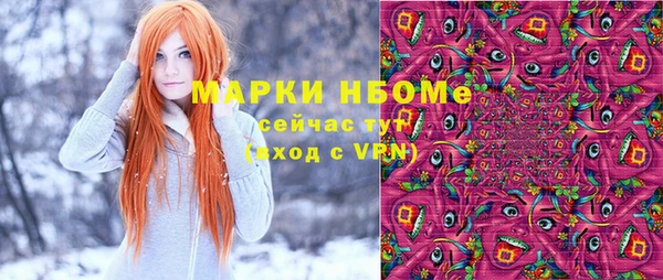 стафф Новозыбков