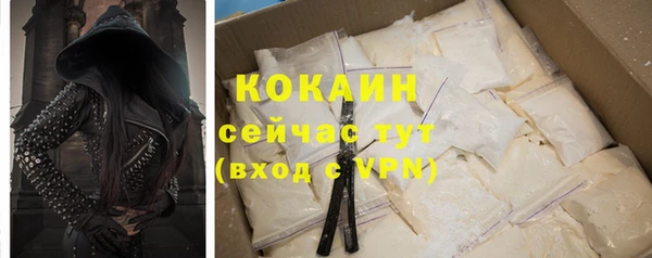 тгк Новодвинск