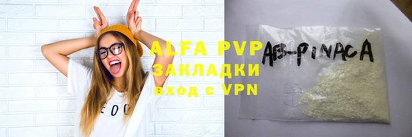 стафф Новозыбков