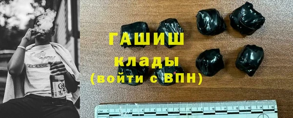 индика Богородицк