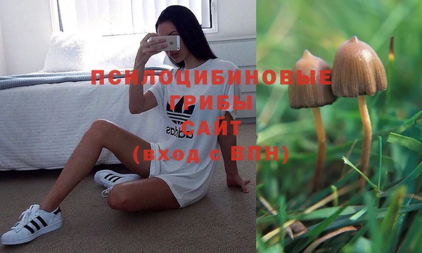 COCAINE Няндома