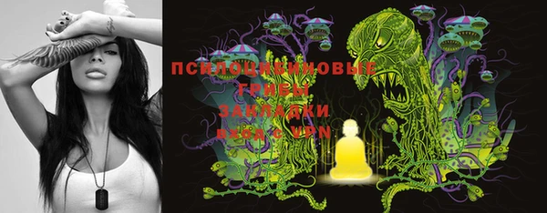 тгк Новодвинск