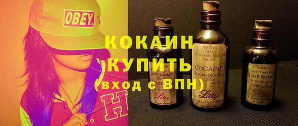 гидра Гатчина