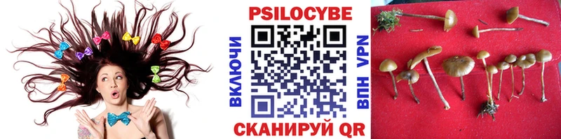 сколько стоит  MEGA ТОР  Галлюциногенные грибы ЛСД  Сорск 
